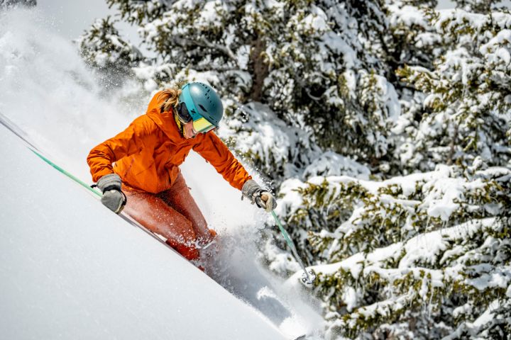 Image for Limited-Time Colorado Sale – 20% Off